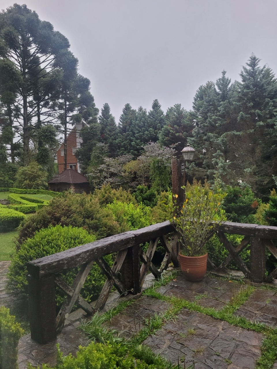 20241025_060128 Grande.jpeg