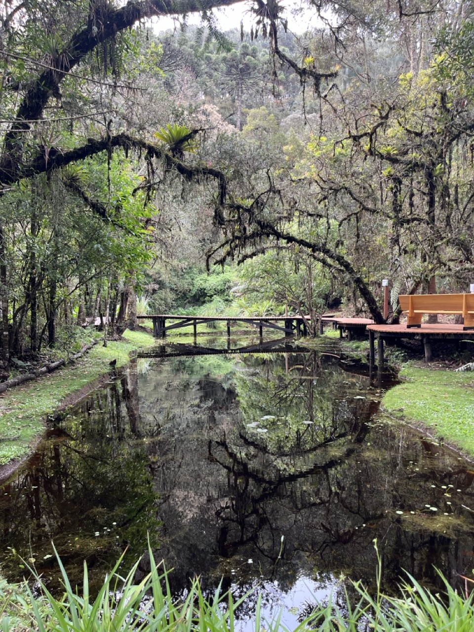 IMG_5304 Grande.jpeg