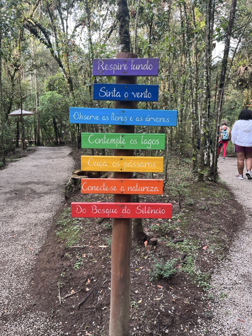 IMG_5345 Grande.jpeg