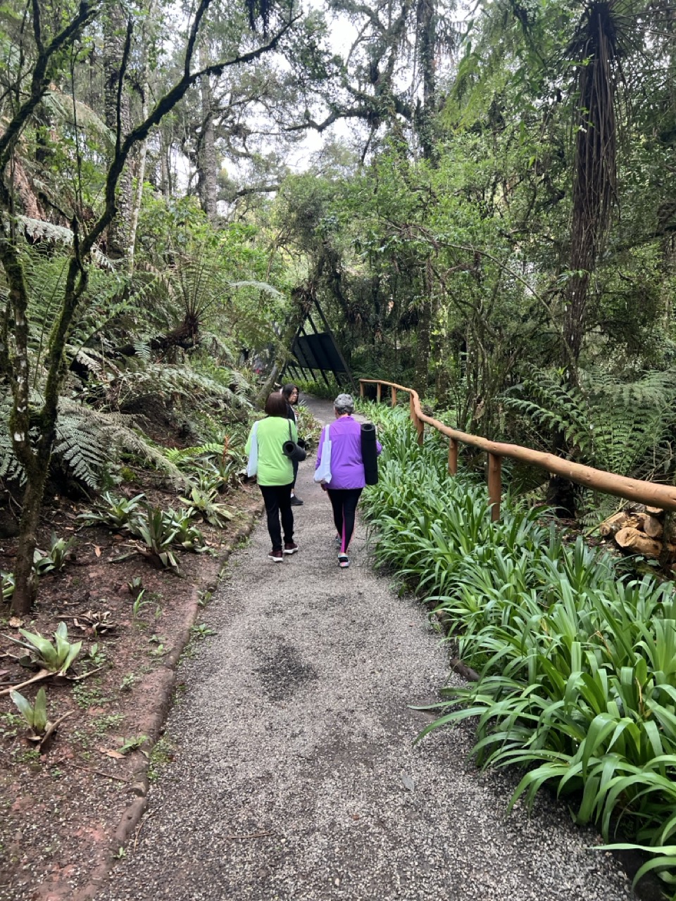 IMG_7016 Grande.jpeg